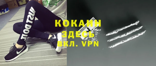 прущие грибы Карталы