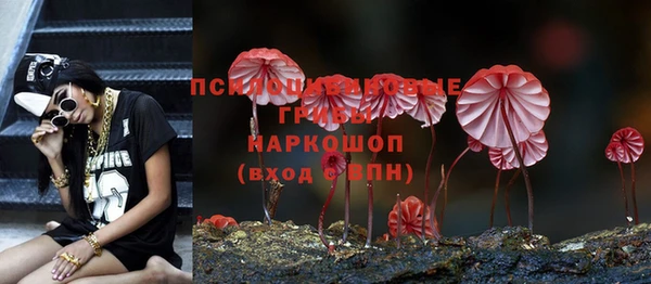 гидропоника Волоколамск