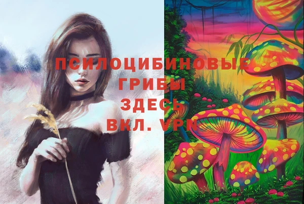 гидропоника Волоколамск