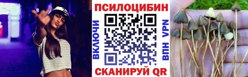 продажа наркотиков  Елец  Галлюциногенные грибы MAGIC MUSHROOMS 